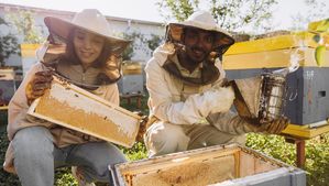 Pick and Mix: Alternative and Traditional Ways to Support Your Employees’ Wellbeing 