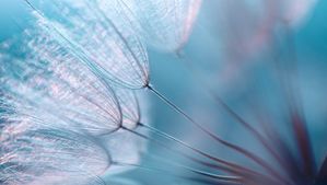 The Rebirth of Small Caps