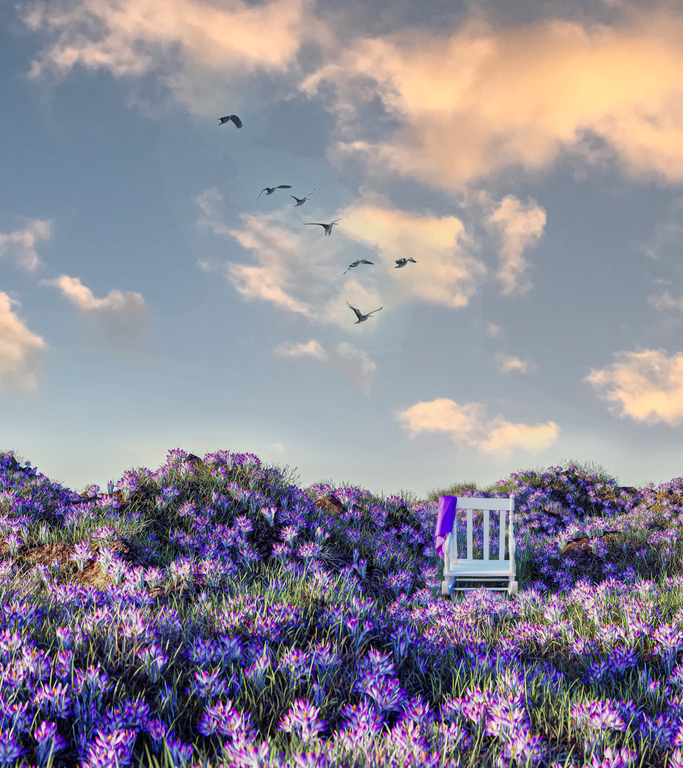 Ii Pw Tailored Investment Img